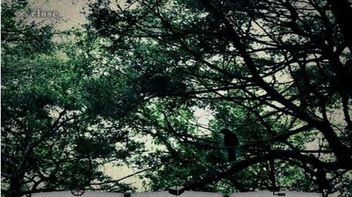 辣条难压惊 逃离死亡森林评测