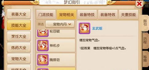 梦幻西游手游血宠打什么内丹好