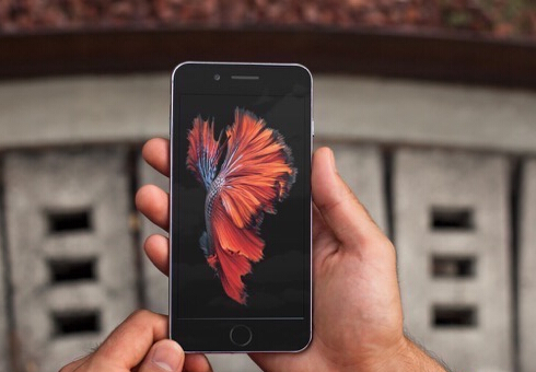 iPhone6s官方锦鲤高清壁纸推荐