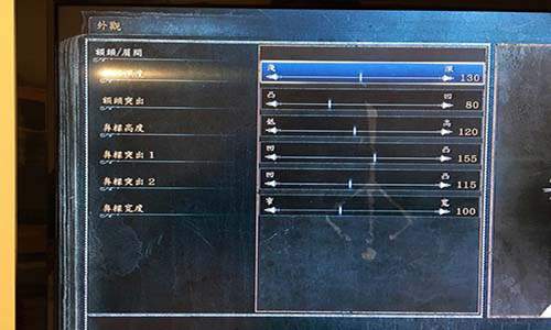 血源诅咒玛利亚捏脸数据分享