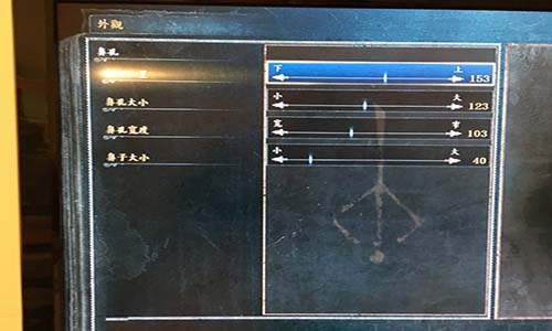血源诅咒玛利亚捏脸数据分享