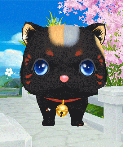qq炫舞黑色猫咪老师什么时候出 qq炫舞黑色猫咪老师怎么得