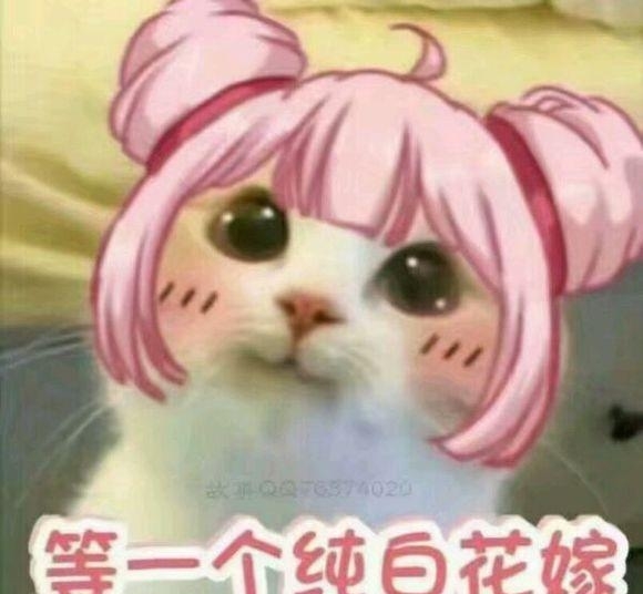 王者荣耀斗图表情包 王者荣耀小乔纯白花嫁表情包