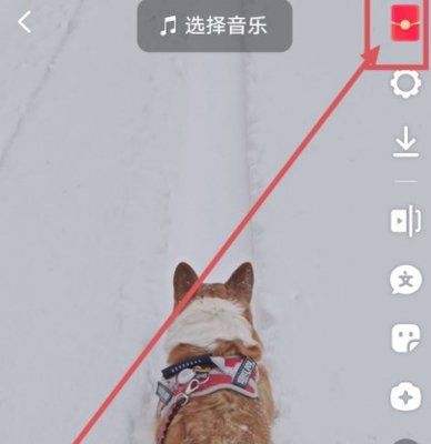 抖音点赞领红包怎么弄 抖音点赞领红包设置在哪里