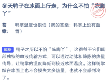 支付宝蚂蚁庄园今天正确答案11.28 蚂蚁庄园11月28日答案是什么