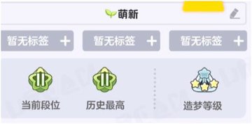 元梦之星怎么删除聊天记录 元梦之星删除聊天记录方法