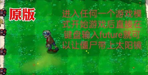 植物大战僵尸代码大全2024 植物大战僵尸游戏代码可复制
