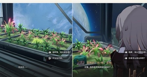 崩坏星穹铁道异宠拾遗隐藏成就有哪些 崩坏星穹铁道异宠拾遗隐藏成就大全