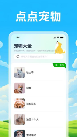 小熊爱点点 第1张图