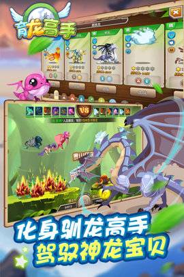 育龙高手 第1张图