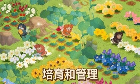 蜜蜂园林 第2张图
