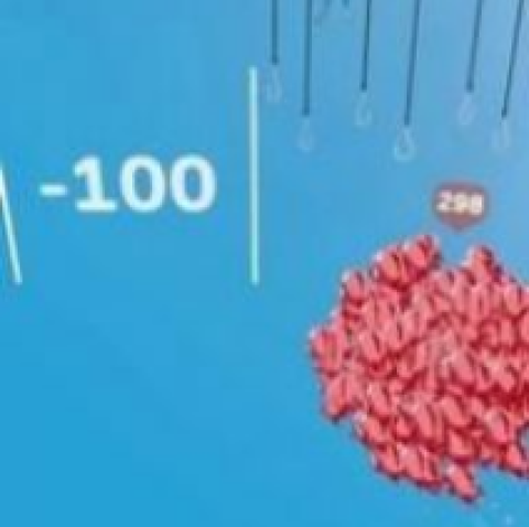 食人鱼世界3D 第2张图
