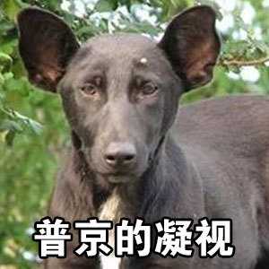 沈梦辰的微笑表情包 沈梦辰的微笑原图