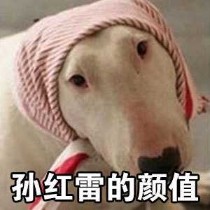 沈梦辰的微笑表情包 沈梦辰的微笑原图