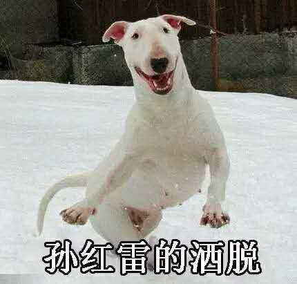 沈梦辰的微笑表情包 沈梦辰的微笑原图