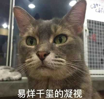 沈梦辰的微笑表情包 沈梦辰的微笑原图