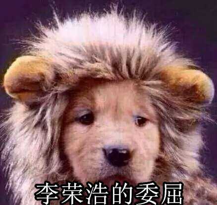 沈梦辰的微笑表情包 沈梦辰的微笑原图