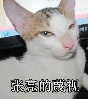 沈梦辰的微笑表情包 沈梦辰的微笑原图