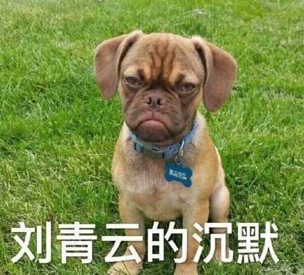 沈梦辰的微笑表情包 沈梦辰的微笑原图