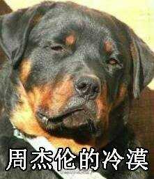 沈梦辰的微笑表情包 沈梦辰的微笑原图