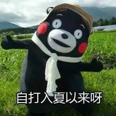自打入夏以来啊,就独得太阳恩宠表情包组图(附宋小宝版)