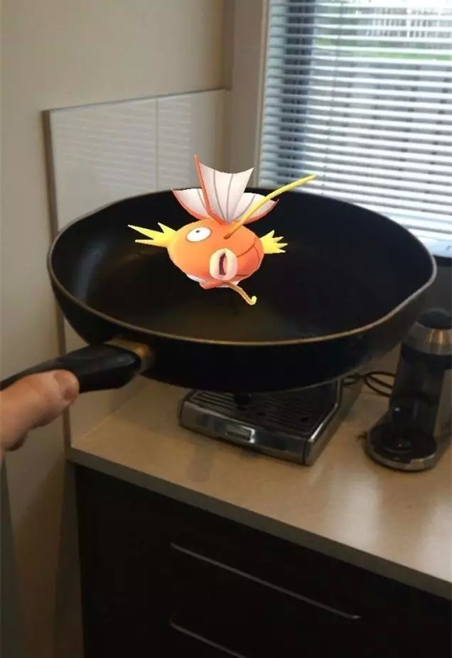 pokemon go分布图 pokemon go精灵分布图
