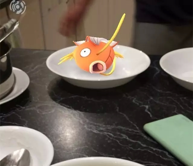 pokemon go分布图 pokemon go精灵分布图