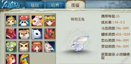诛仙手游稀有玉兔刷新时间 诛仙手游稀有玉兔多久刷新