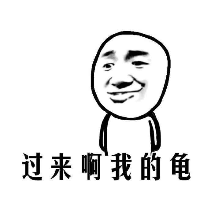 厉害了我的哥表情_过来啊我的龟