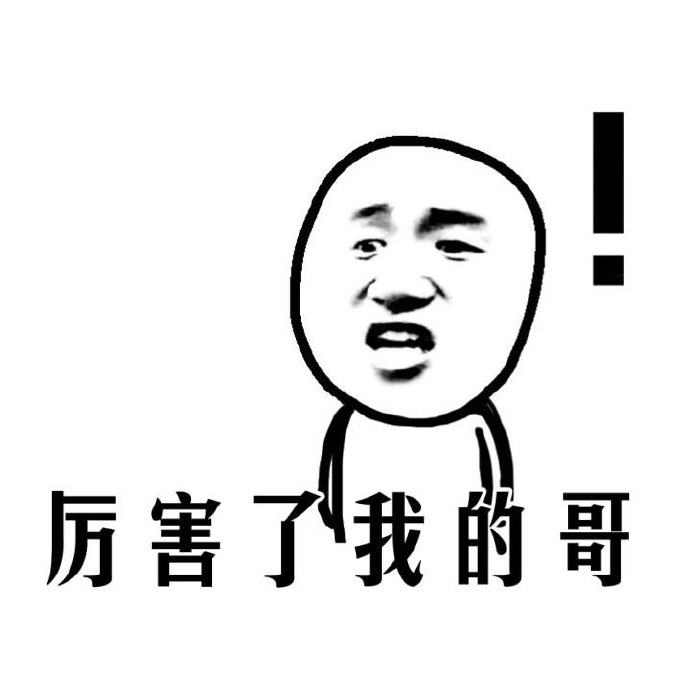 厉害了我的哥表情