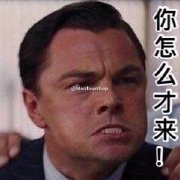 莱昂纳多表情包GIF大全 小李子表情包动态图图片
