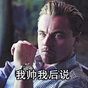 莱昂纳多表情包GIF大全 小李子表情包动态图图片