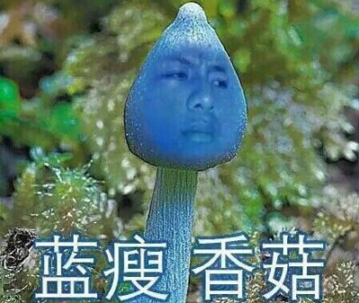 蓝瘦和香菇