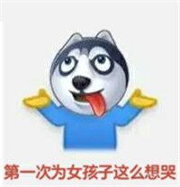 蓝瘦香菇