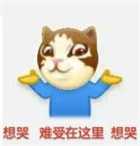 蓝瘦香菇