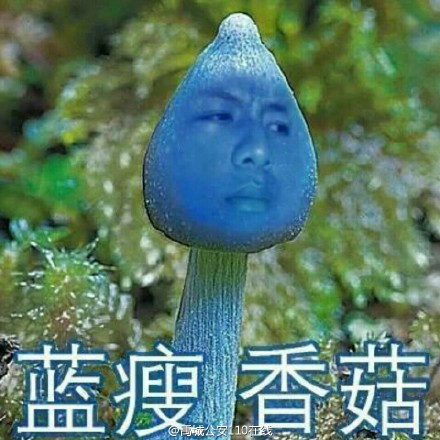 蓝瘦香菇