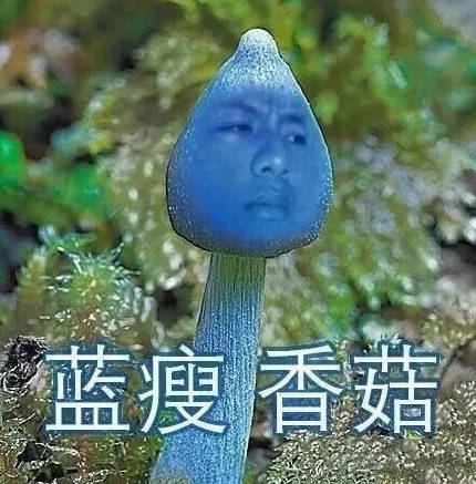 蓝瘦香菇配图 蓝瘦香菇无水印