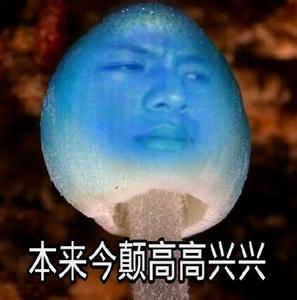 蓝受香菇