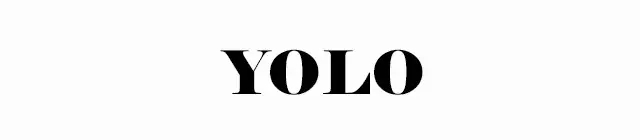 YOLO是什么意思 YOLO是什么梗