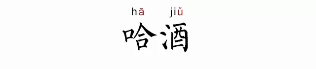 哈酒是什么意思 哈酒是哪的方言