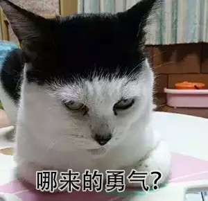 蜜汁自信什么意思 什么是蜜汁自信啥意思
