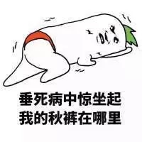 蜜汁自信什么意思 什么是蜜汁自信啥意思