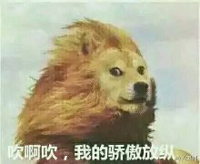 吹啊吹啊我的骄傲放纵表情包