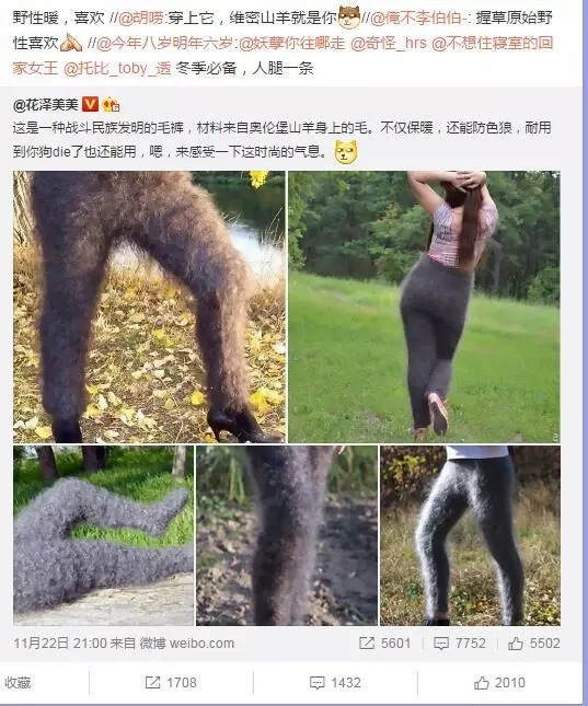 野性暖是什么意思 野性暖是什么梗