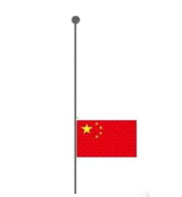 微信升国旗表情包 蘑菇头升国旗表情包下载