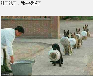 你的名字情侣头像高清下载 你的名字动漫头像下载