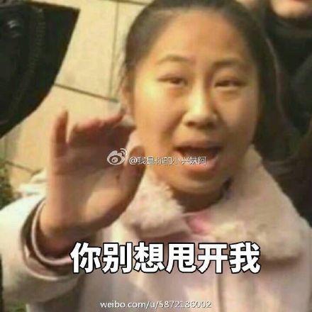 虹桥一姐表情包