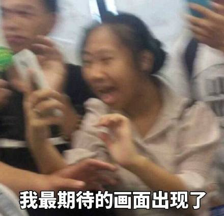 虹桥一姐表情包