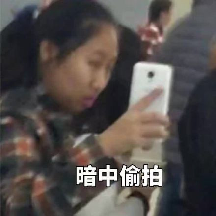 虹桥一姐表情包