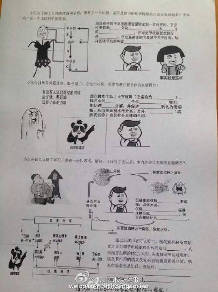 表情包试卷图片走红 表情包试卷答案